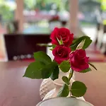 Weinhaus Hoff باد هونيف ام راين