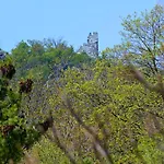 Weinhaus Hoff باد هونيف ام راين