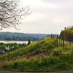 Weinhaus Hoff فندق 3*
