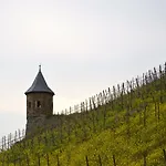 فندق Weinhaus Hoff
