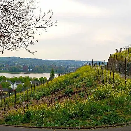 Weinhaus Hoff Hotel 3*