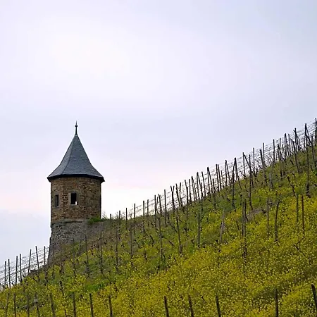 Weinhaus Hoff Hotel 3*