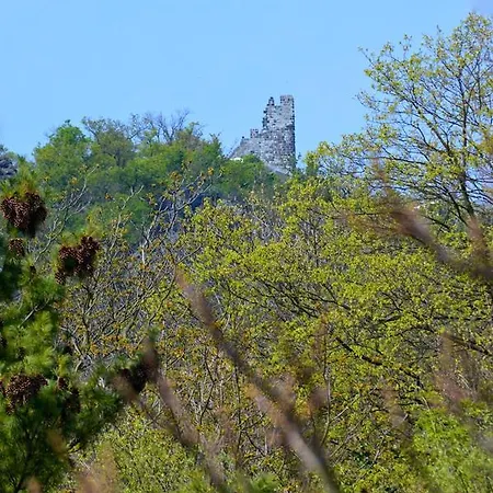 Weinhaus Hoff Bad Honnef