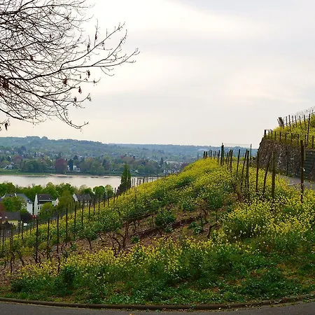 Weinhaus Hoff Hotel 3*