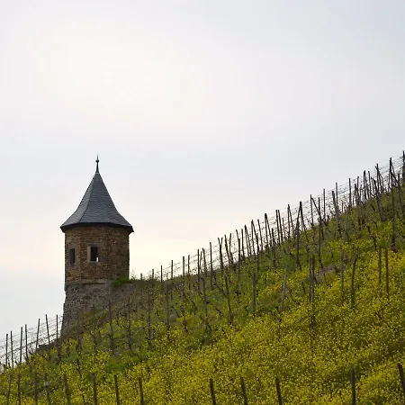 Szálloda Weinhaus Hoff