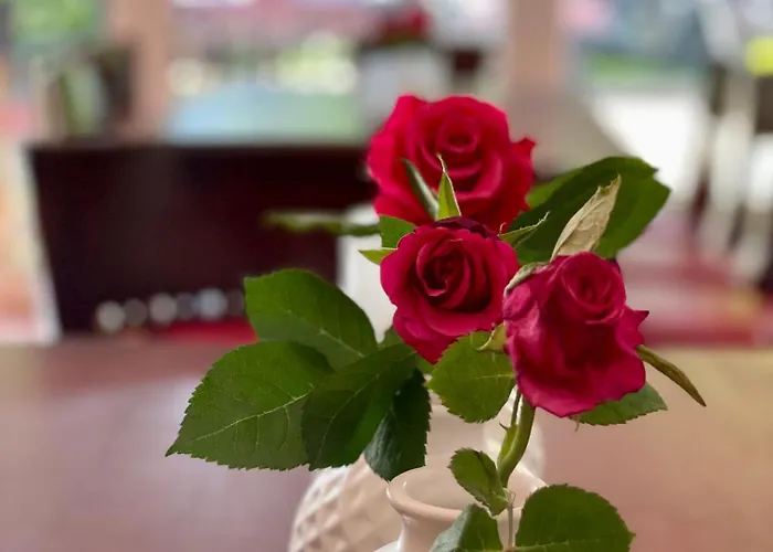 Weinhaus Hoff Bad Honnef