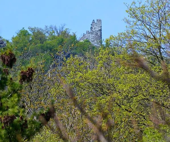 Weinhaus Hoff Bad Honnef