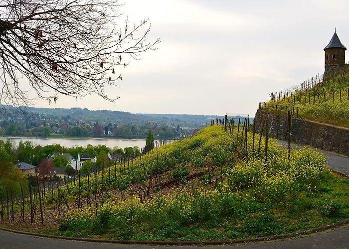 Weinhaus Hoff Hotel 3*